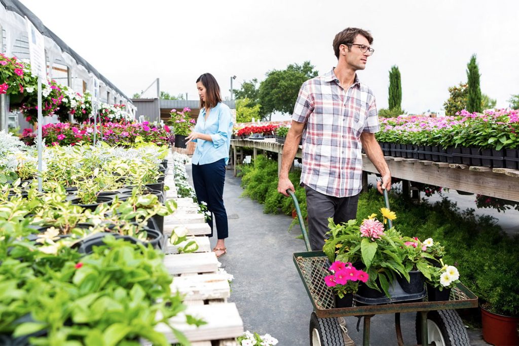 The cost of gardening in the UK Every Day Home & Garden